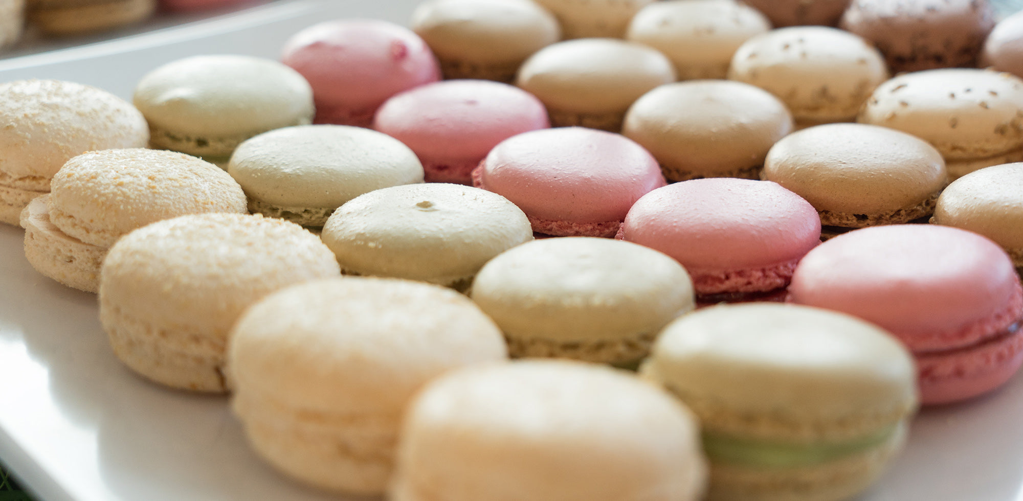 Colorful macarons arranged in rows on a plate